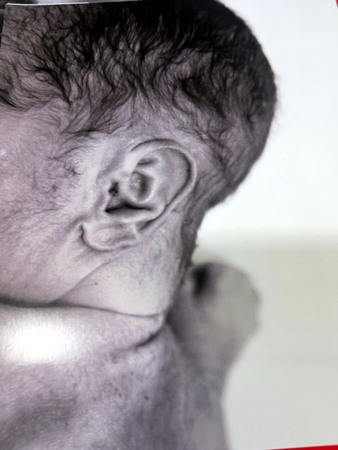 Obituary of Wynter Storm Henderson