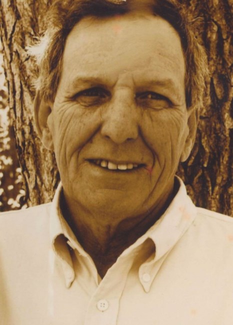 Obituary of Joseph "Joe" L. Watkins Jr.