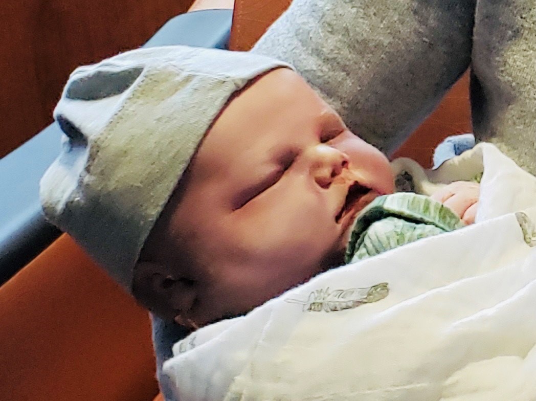 Obituary of Finn Wilder Schoffstall