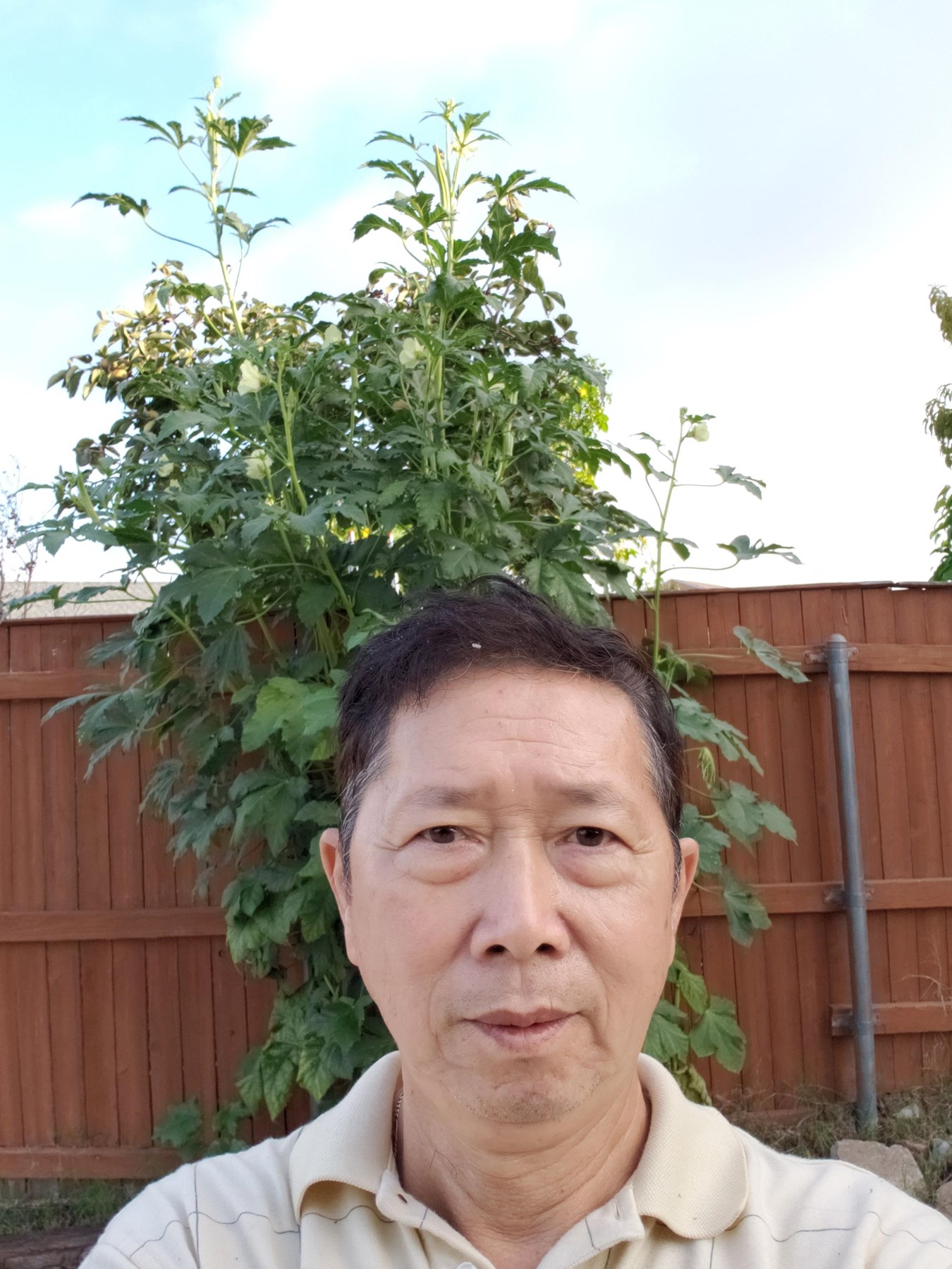 Obituary of Vinh Quang Ho