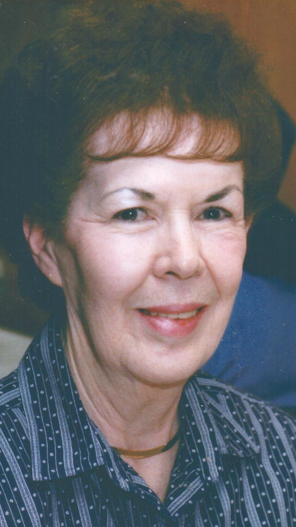Kathleen Lynch Obituary Oak Lawn, IL