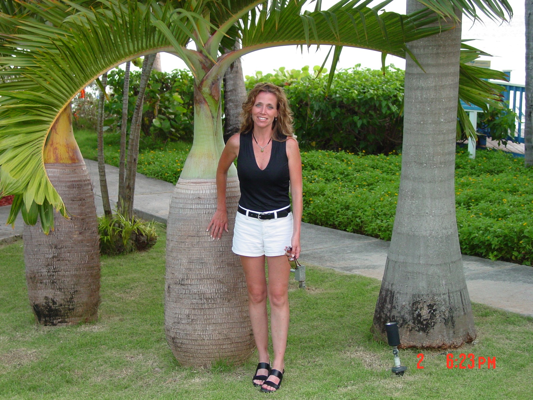 Obituary of Lorelei Lynn Bartko