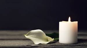 Obituary of Michael Rennie Koppers