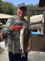 Timothy Grider