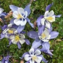 Obituary of Terry Ray Stanley