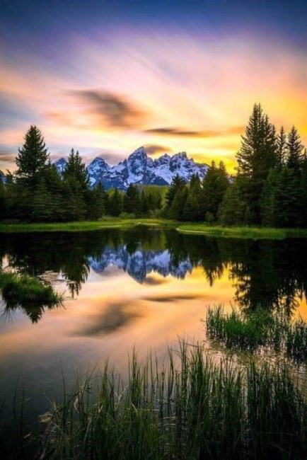 Obituary of Denis John REID