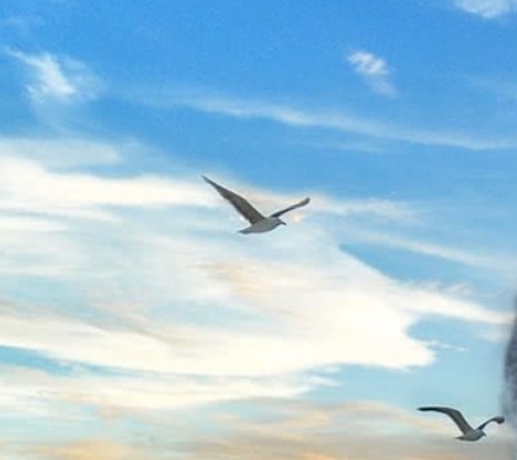 LESTER HELTSLEY Obituary