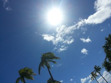 Obituary of Dr. Heinz-Guenther G. Pink