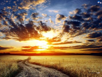 Obituary of Richard Clark Taylor