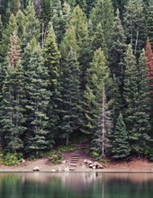 Obituary of Gene Wandall