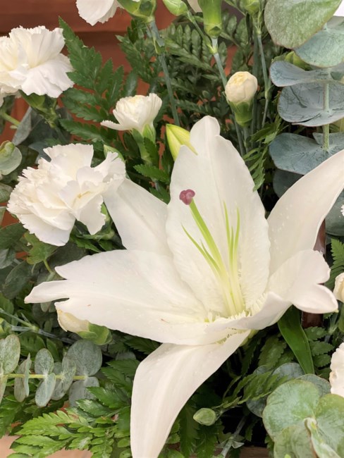 Obituary of Judith Ann Adamson