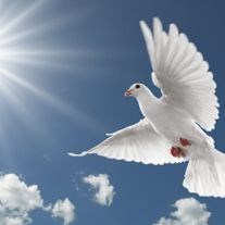 Obituario de Gerald Clifford Shuster