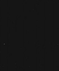 Frederick "Fred" Walter Rieker Obituary Peoria, IL