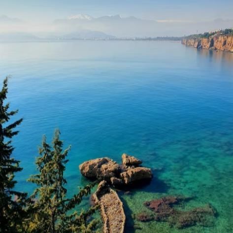 Obituary of Serap Contreras