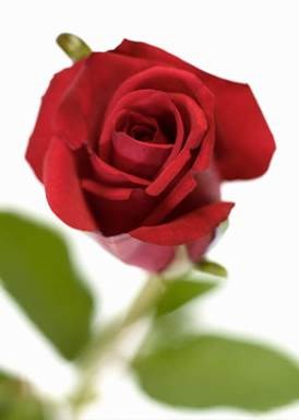 Obituary of Peggy Carol Banta