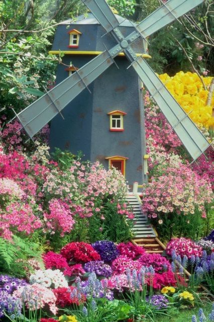 Obituary of Mia Theadora Sabourin