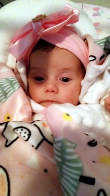 Obituary of Isabella Rose Sosa