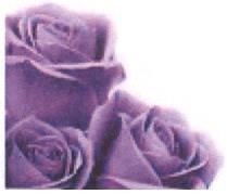 Obituario de Mary Anne Nicholson