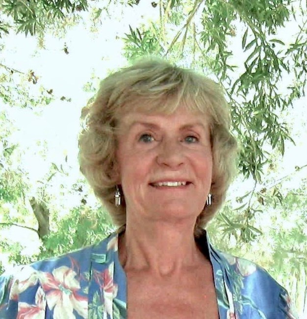 Obituary of Linda Rae Klein