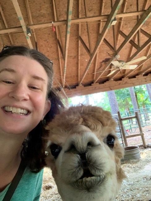 Obituary of Hollie Lynn Meglio