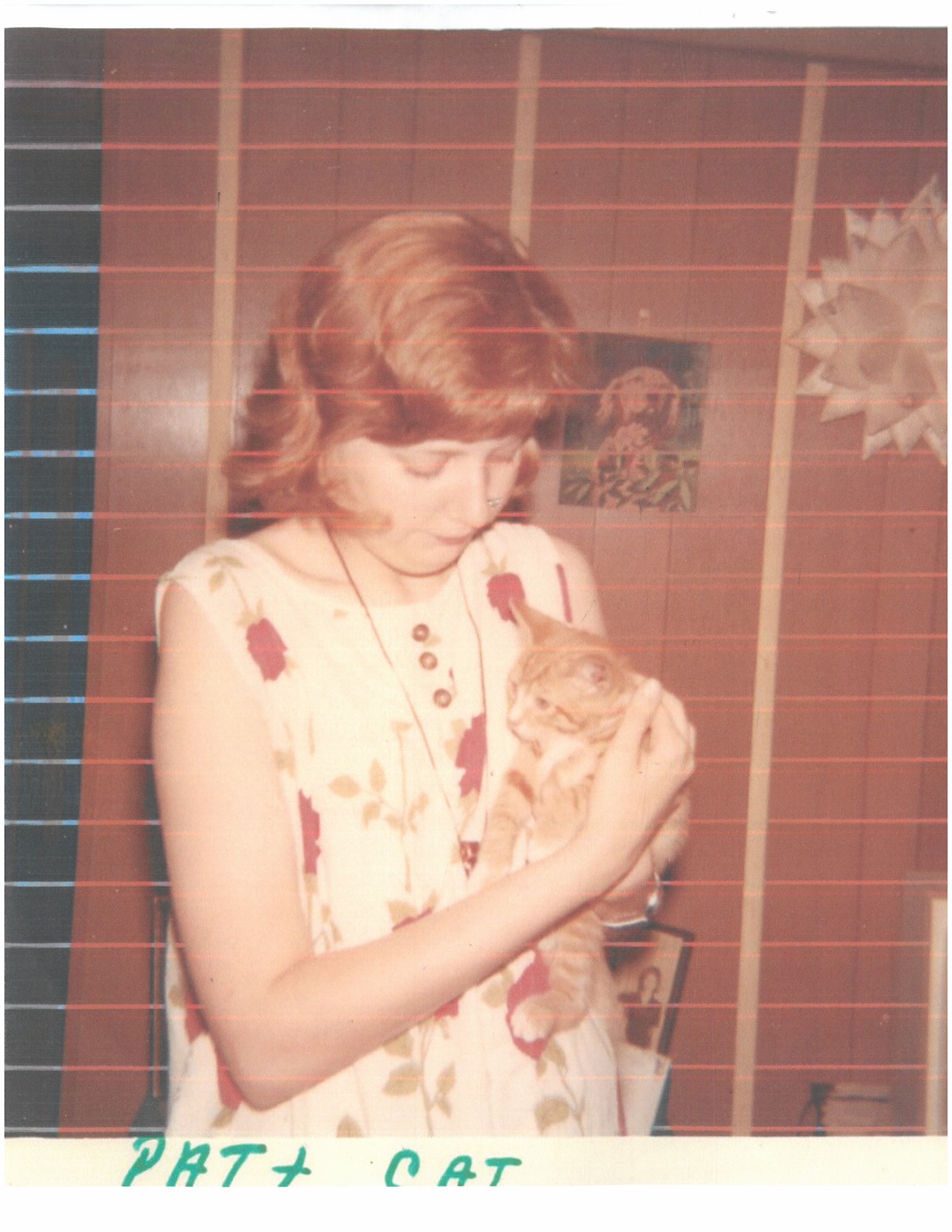 Obituary of Patricia Ann Curtis