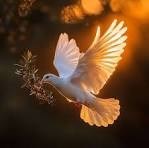 Avis de décès de David Robert Mayers