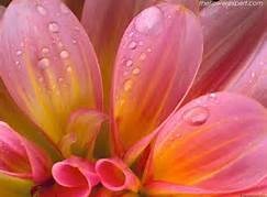 Obituary of Gladys Kassab Totah