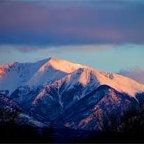 Obituary of Adikia Lee Sparks