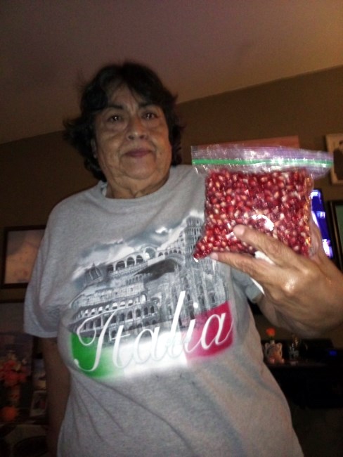 Obituary of Sylvia Ann Simmons