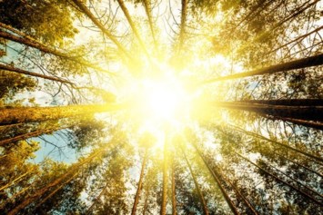 Obituary of Sol Adler