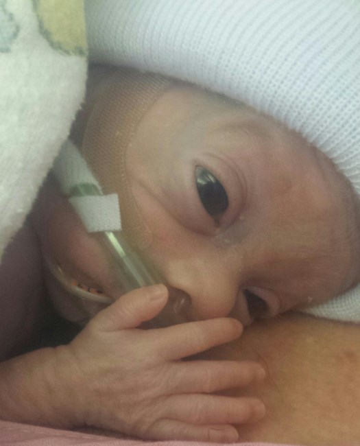 Obituary of Riley Christopher Bays-Weimer