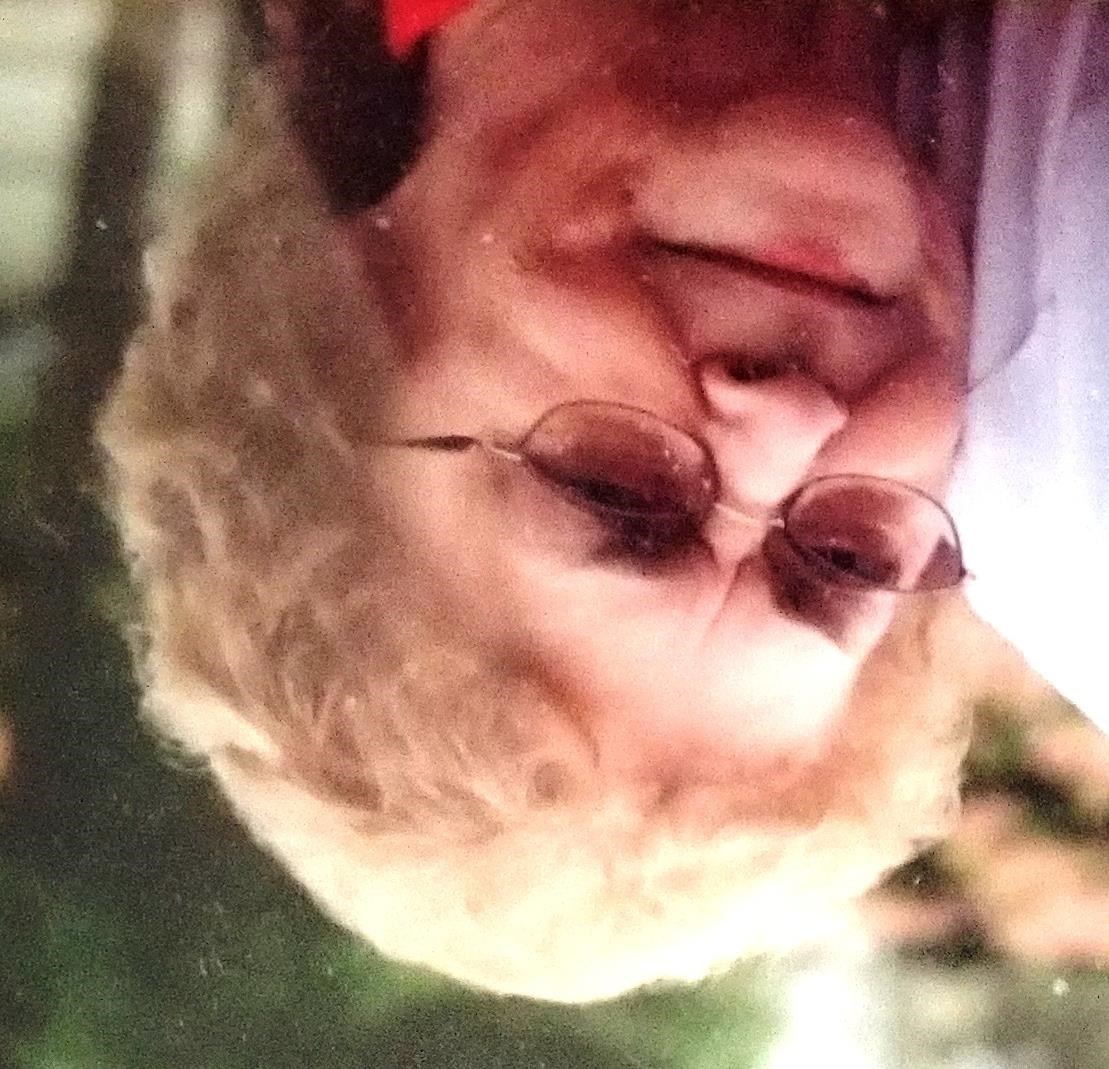 Shirley Dunlevy Obituary Springfield, IL