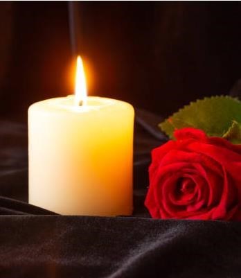 Obituary of Francisco J. Valdes