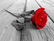 Obituary of Barbara Graham Cooper