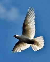 Obituary of Stephen E Bullock