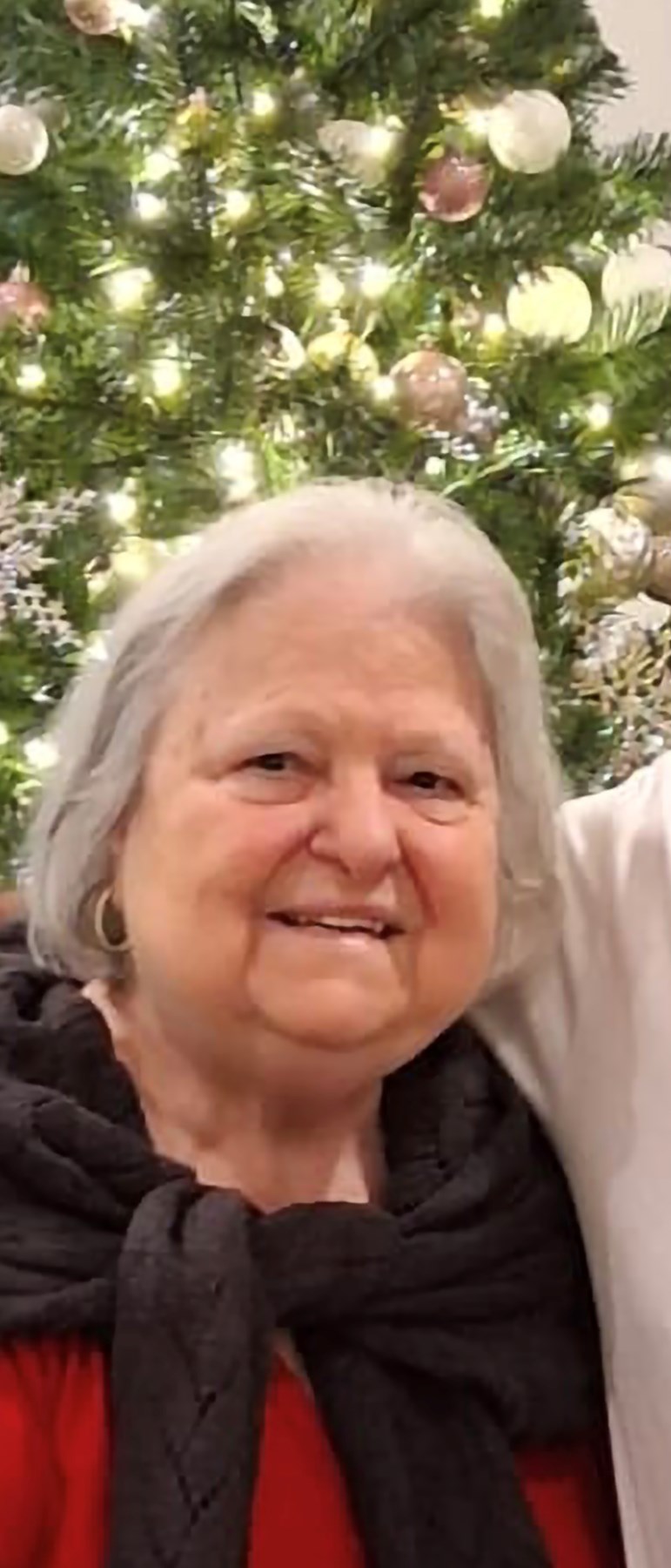 Obituary of Anna Maria DiMaio