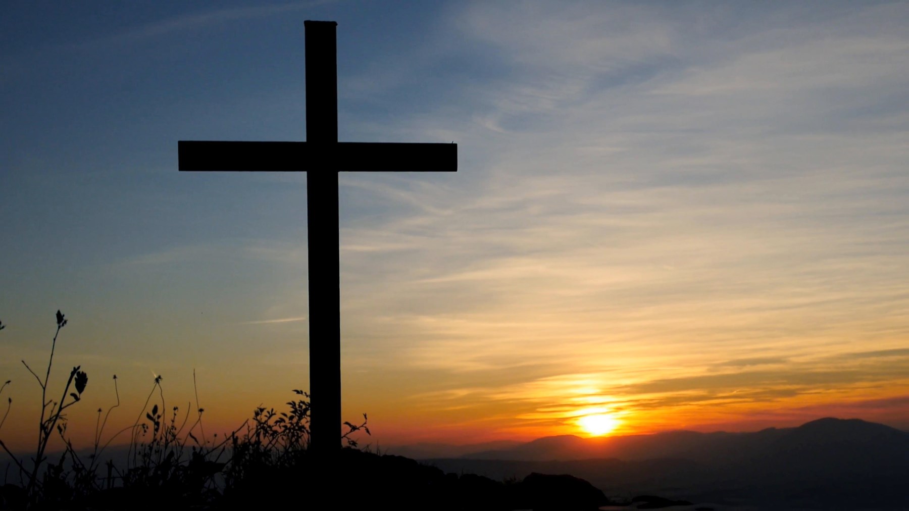 Obituary of Wilna Faye Wilson