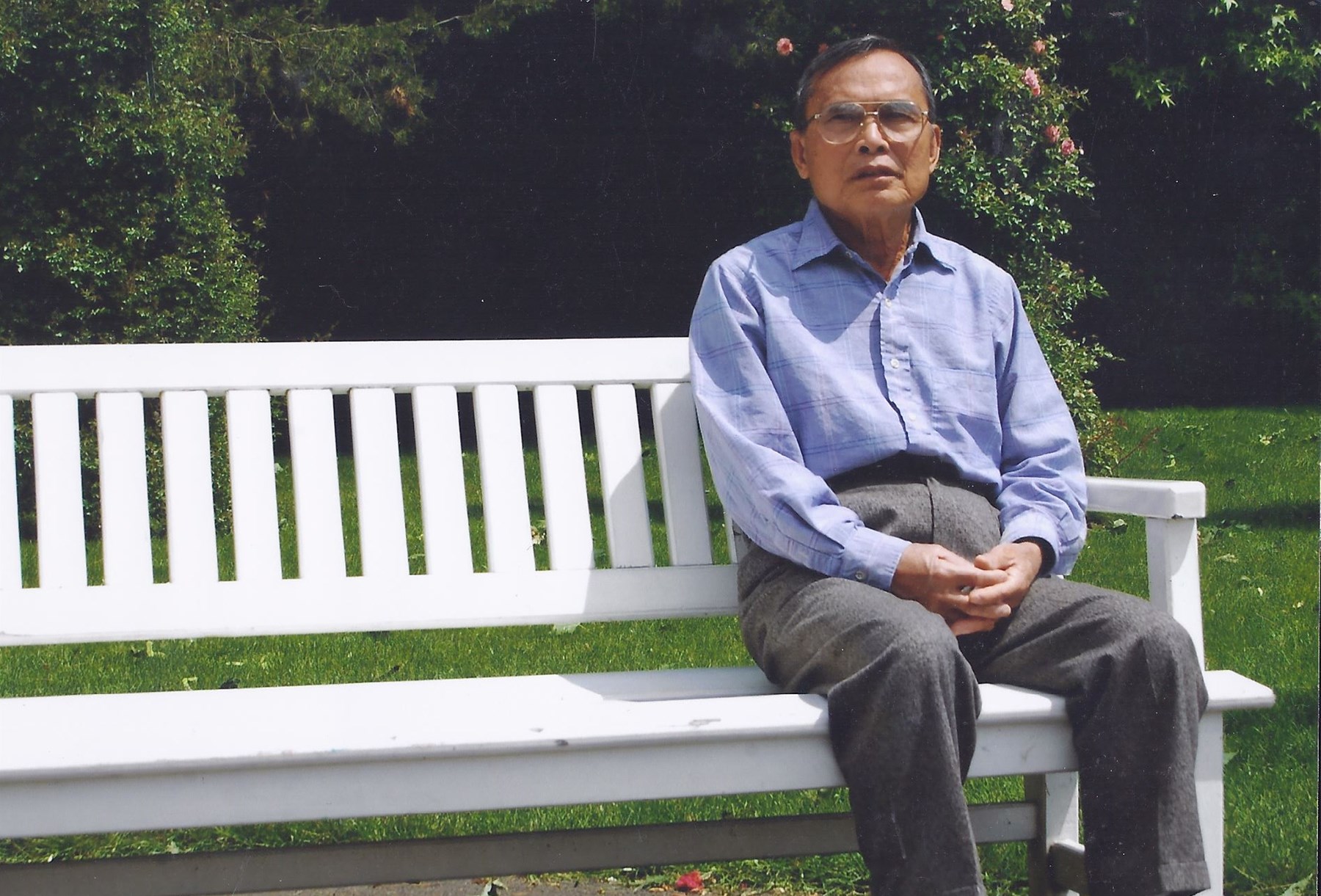 Obituary of Quynh Luu