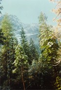 Obituary of Francine Miller