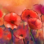 Marie Wall